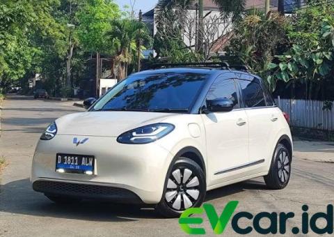 2024 Wuling Binguo EV Longe Range 410