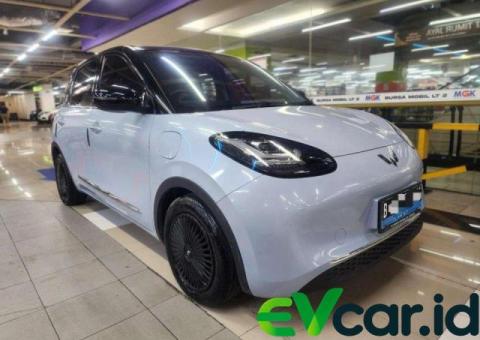 Wuling Binguo EV (2024)