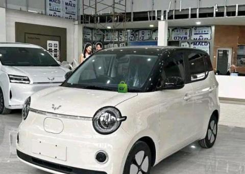 2026 Wuling Aira ev pro