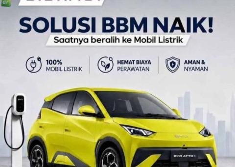 2026 BYD Atto 1