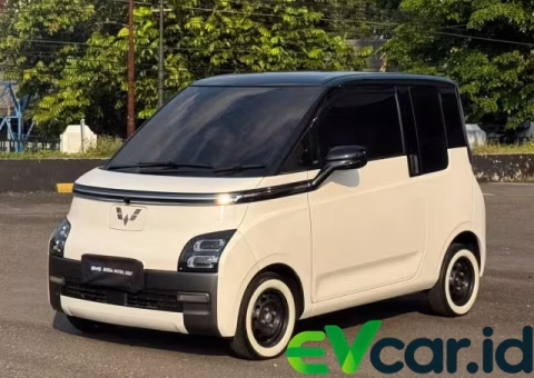 Wuling Air Ev (2022)